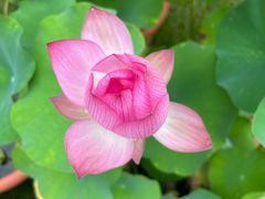 -西湖国宾馆·紫薇厅