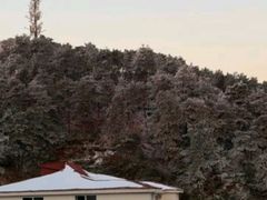 -庐山风景名胜区-东林大佛