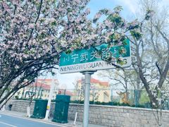 -八大关景区