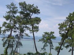 -宝荣鱼馆·临湖之宴(千岛湖店)