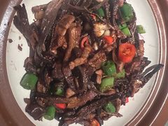 -鸽子侯·家宴·平价海鲜(市图书馆店)