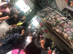 -呀诺达热带雨林