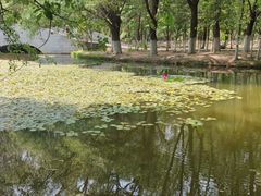 -长白岛森林公园