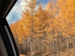 -莫尔道嘎国家森林公园