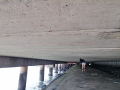 -东疆建设开发纪念公园