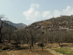 -龙泉峪长城