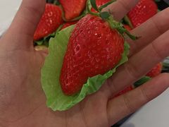 -PAGODA百果园(台柳路凯德广场店)