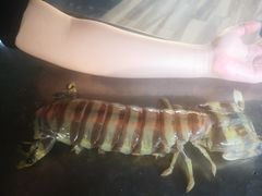 大皮皮虾-海盗餐厅