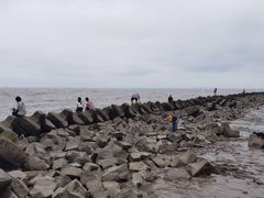 -南汇嘴观海公园