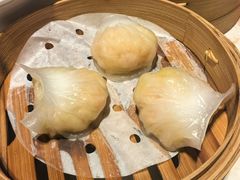 -点都德·毕德寮