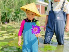 -上海长兴岛郊野公园