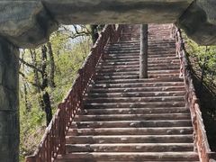 -塔云山