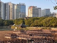 -南宁南湖公园