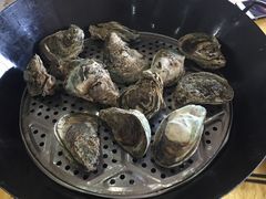 -蚝专家(北滘店)
