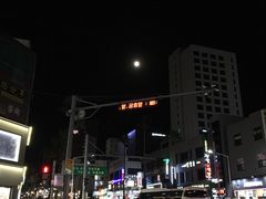 -莲洞本家