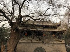 -德发长·花式蒸饺(大唐不夜城店)