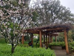 -徐家汇源景区-衡山公园