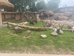 -武汉动物园