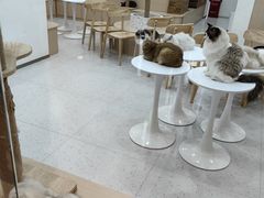 -LuOne凯德晶萃广场(徐家汇路店)