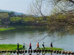 -中国茶叶博物馆(双峰馆区)