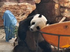 -石家庄市动物园