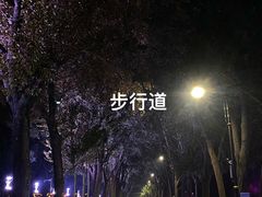-滨州铁路桥