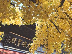 -红螺寺