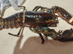 -阿浪海鲜连锁加工店(B栋2排1号火车头店)