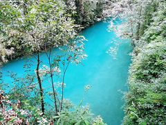 -牛鱼嘴原始生态风景区
