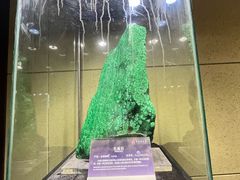 -中华赏石园