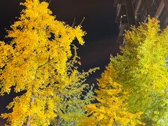 -攀枝花·任德琼·盐边羊肉米线