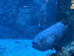 -海合安青岛极地海洋公园
