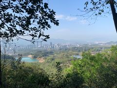 -大奇山国家森林公园