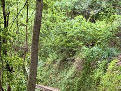 -昆明青龙峡风景区