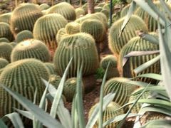 -北京植物园-展览温室