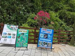 -西双版纳原始森林公园