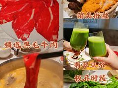 -汤城·料青山