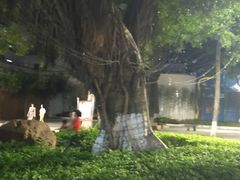 -金砂公园