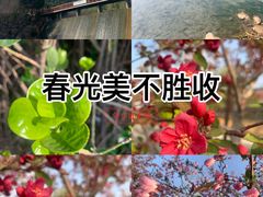 -佛慧山