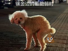 -悦宠动物医院(京丰分院)