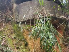 -白云山风景名胜区