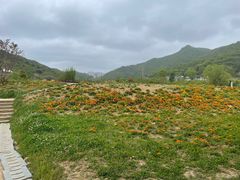 -东海半边山旅游度假区