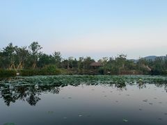 -三垟湿地