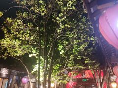 -三只耳火锅(宽窄巷子店)