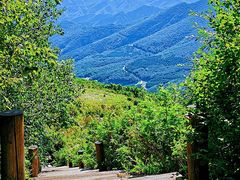 -白草畔自然风景区