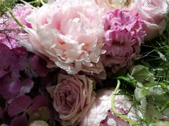 -BEAST野兽派(上海浦东嘉里城店)