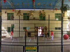 -广东茂名森林公园