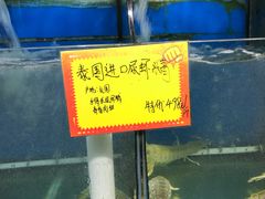 -蚝专家(北滘店)