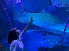 -泉城欧乐堡海洋极地世界