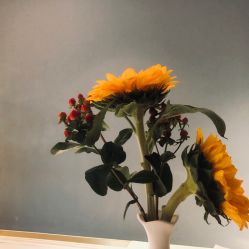 -苑苑vbeauty科技美容SPA